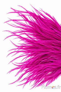 Autruche barbules - 8-15 cm - fuchsia